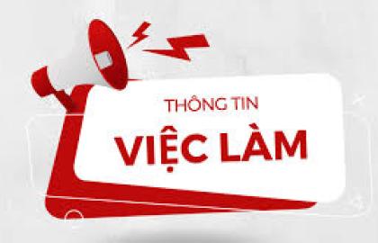 Cơ hội nghề nghiệp tại AGBIG GROUP – Gia nhập đội ngũ xanh sáng tạo