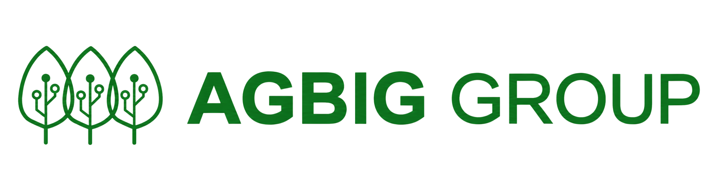 AGBIG GROUP