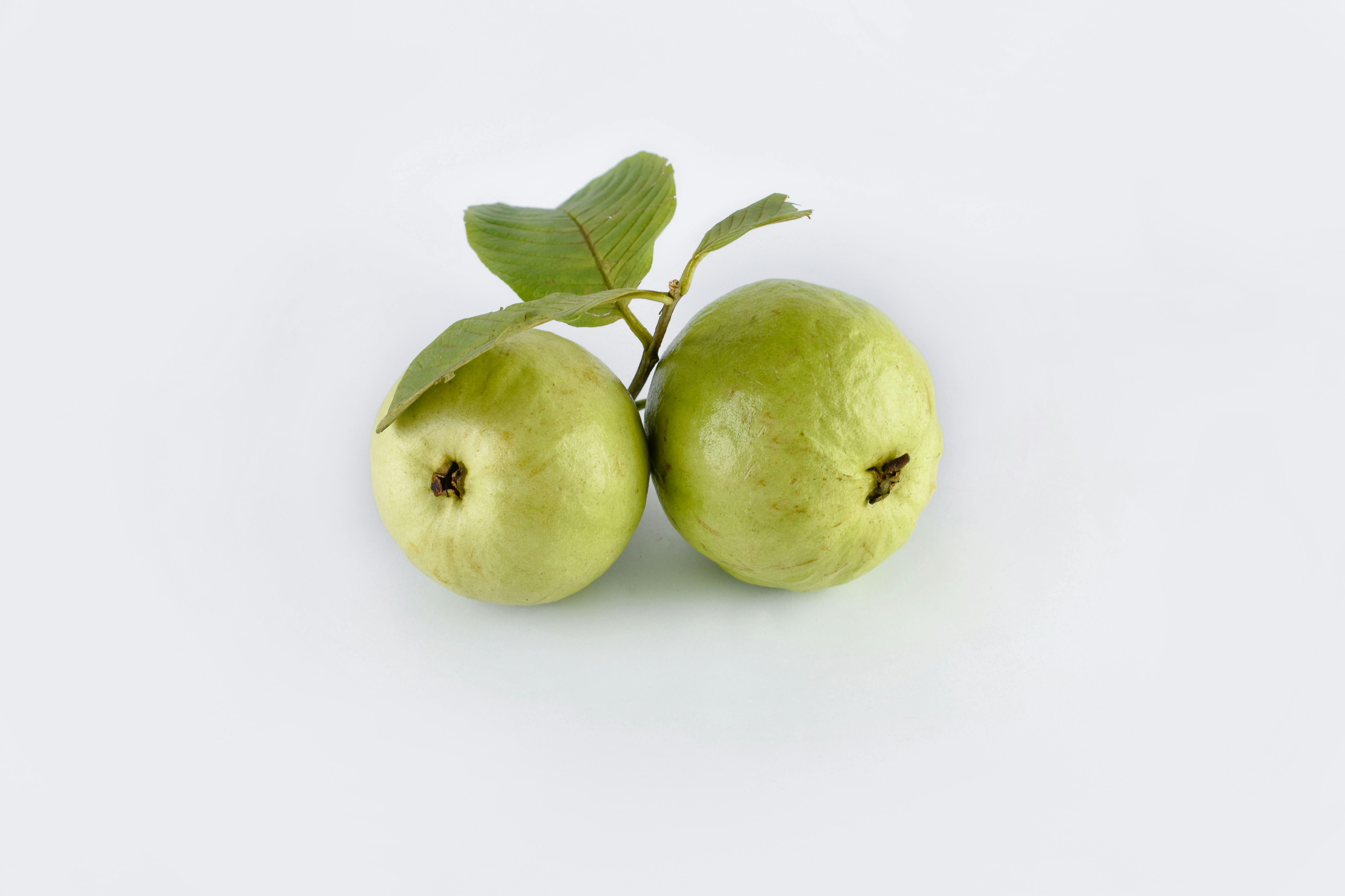 Cây Ổi Nữ Hoàng / Psidium guajava